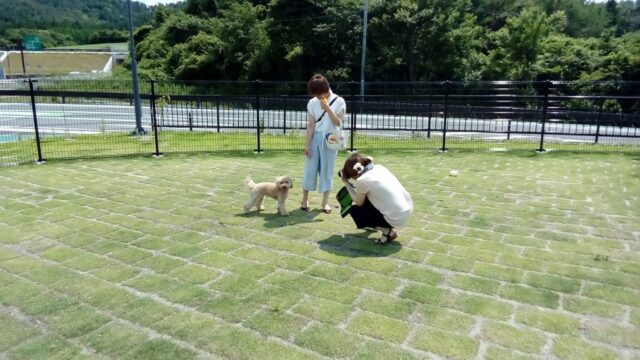 道の駅　三滝堂に併設されたドッグラン