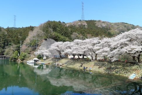 埼玉県の温泉施設がある道の駅２駅を紹介