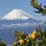 静岡県の温泉施設がある道の駅