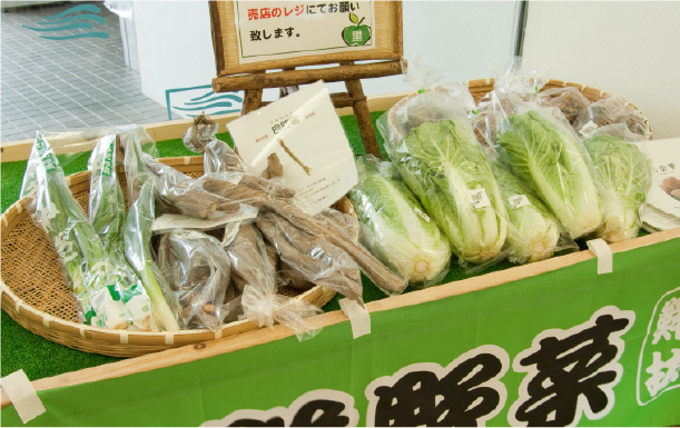 道の駅スプリングスひよしの野菜
