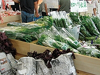 道の駅 池田温泉ＪＡいび川農産物直売所の野菜