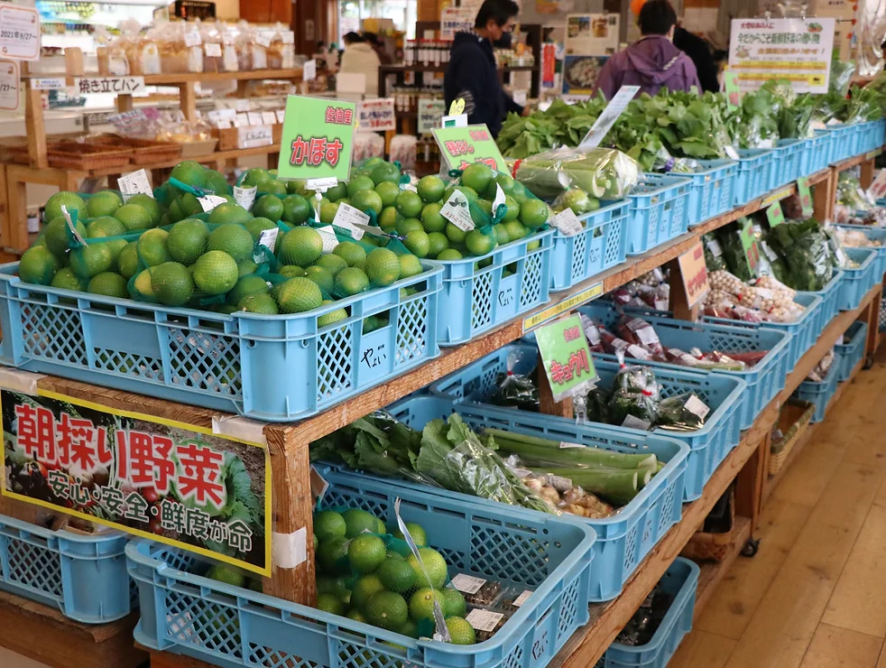 物産館 弥生ぴかいちの野菜コーナー