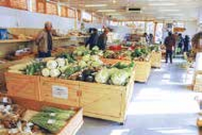 わくわく館の売り場