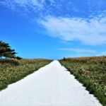 北海道のグルメが味わえる道の駅（道北編）