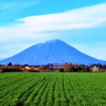 北海道のご当地グルメが味わえる道の駅（道央編）