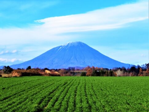 北海道のご当地グルメが味わえる道の駅（道央編）