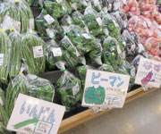 道の駅安達 智恵子の里の野菜