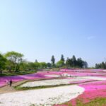 埼玉県のご当地グルメが味わえる道の駅