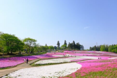 埼玉県のご当地グルメが味わえる道の駅