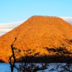 群馬県のご当地グルメが手軽に味わえる道の駅