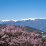 長野県のご当地グルメが楽しめる道の駅