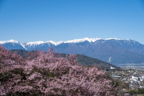 長野県のご当地グルメが楽しめる道の駅