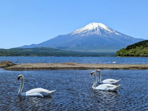 山梨県のご当地グルメが味わえる道の駅