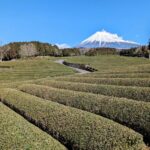 静岡県のご当地グルメが味わえる道の駅