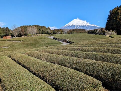 静岡県のご当地グルメが味わえる道の駅