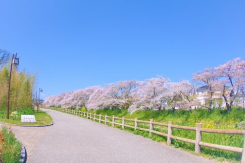 愛知県のご当地グルメが味わえる道の駅