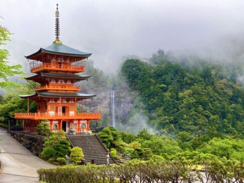 和歌山県のご当地グルメが味わえる道の駅