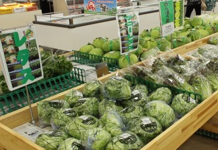 JA大阪南農産物直売所の野菜売り場