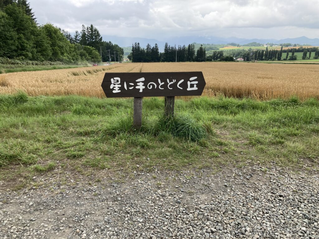 星に手が届くキャンプ場